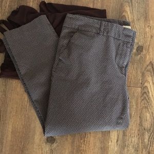 LOFT Modern Gray pant with Swiss  dots Sz16